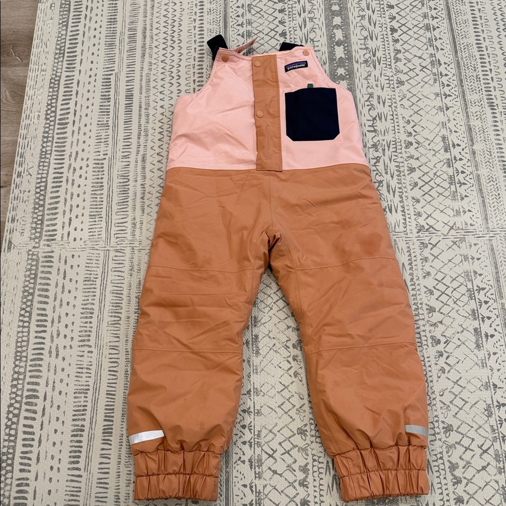 Patagonia snow pile snow pant